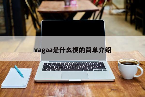 vagaa是什么梗的简单介绍